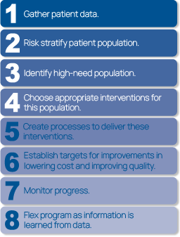 Graphic showing the basic steps involved in developing a public health management (PHM) program