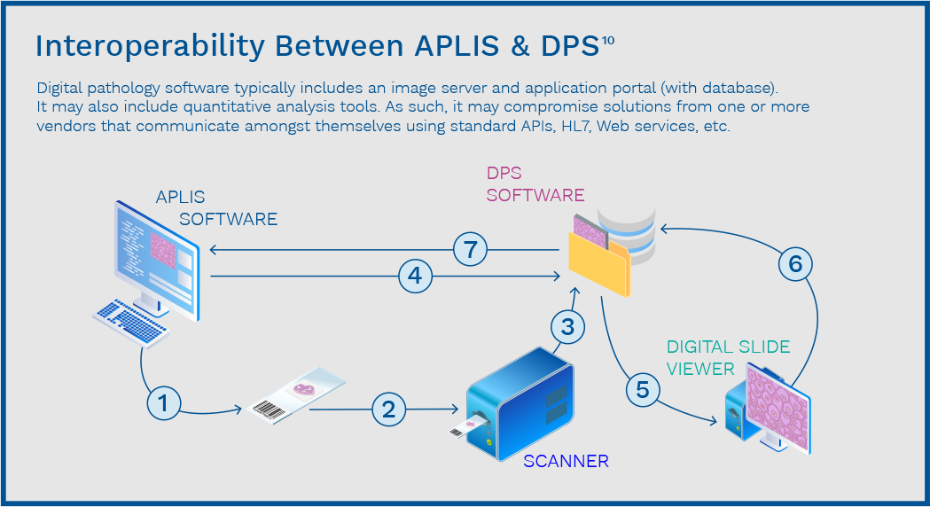 Graphic showing the interoperability between APLIS & DPS
